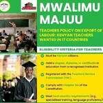 P1 Teachers Abroad: Exploring Global Opportunities Under the Mwalimu Majuu Program